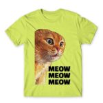 Cat meme – Ginger Apple Green Men's T-shirt for Funny, Meme