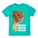 Cat meme – Ginger Turquoise Men's T-shirt for Funny, Meme