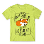 I prefer to stay at home Apple Green Men's Tee for Antisocial, Funny