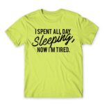I spent all day sleeping Apple Green Men's Tee for Funny, Laziness