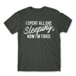 I spent all day sleeping Dark Grey Men's T-shirt for Funny, Laziness