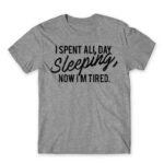 I spent all day sleeping Grey Melange Men's T-shirt for Funny, Laziness