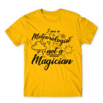 I’m a Meteorologist Not a Magician Gold Men's Tee for Meteorologist, Work