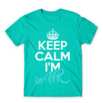 Keep calm, I’m in HR Turquoise Men's Tee for Human Resources, Work