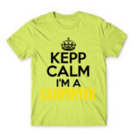 Keep, I’m a carpenter Apple Green Men's Tee for Carpenter, Work