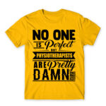Nobody is Perfect – Physiotherapist Gold Men's T-shirt for Physiotherapist, Work