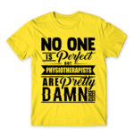 Nobody is Perfect – Physiotherapist Lemon Men's T-shirt for Physiotherapist, Work