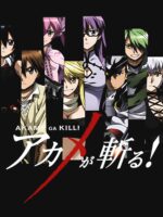 Akame ga kill Unisex T-Shirt
