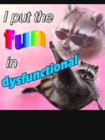 Racoon Meme: I put the fun in dysfunctional Unisex T-Shirt - Image 7
