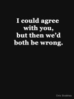 I Could Agree with You, but then We'd Both be Wrong Essential T-Shirt