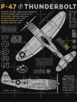 P-47 Thunderbolt Essential T-Shirt