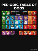 Periodic Table of Dogs, Dog Lover, Funny Science Essential T-Shirt