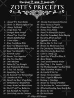 Zote s Precepts Hollow Knight Essential T-Shirt