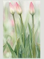 Delicate Botanical Watercolor: Three Pink Tulip Buds Essential T-Shirt