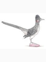 Roadrunner in Running Shoes Essential T-Shirt
