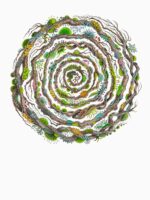 Spiralichen Essential T-Shirt