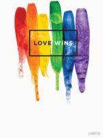 Watercolor LGBT Love Wins Rainbow Paint Typographic Essential T-Shirt