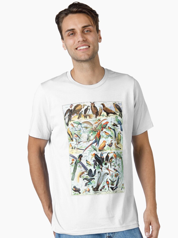 Vintage Bird Illustration I Essential T-Shirt